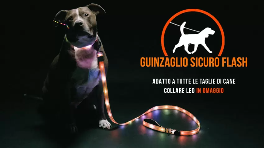 Guinzaglio Sicuro Flash ® - guinzaglio ad alta visibilità con oltre 100 luci led  